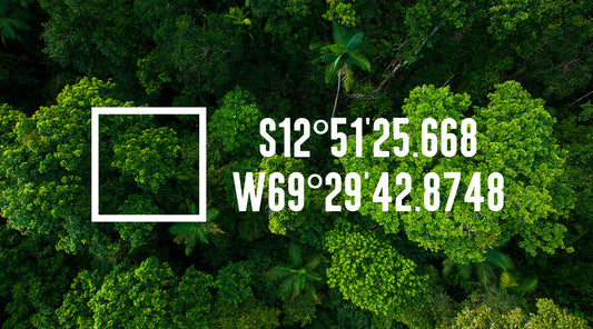 💯 Quadratmeter geschützter Regenwald – Der Anfang einer gemeinsamen Reise